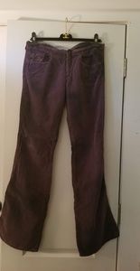 Diesel Purple Velvet Pants